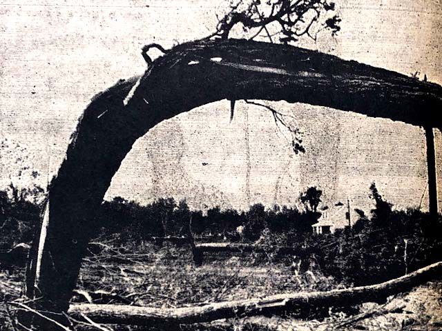 Tornado